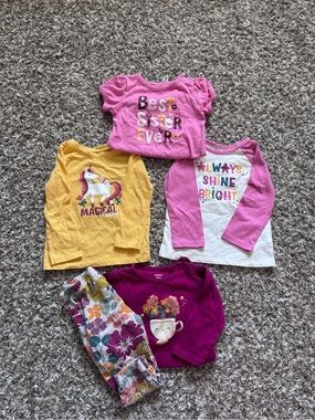 Toddler Girl Bundle, Size 18M, Long & Short Sleeve Shirts, Floral Bottoms